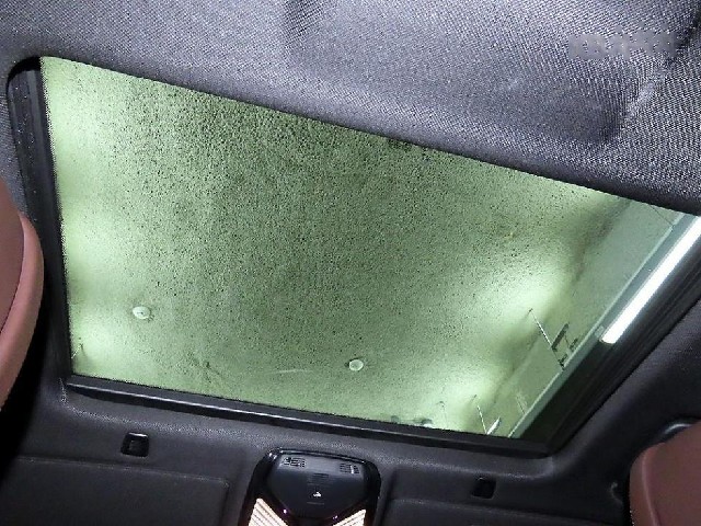 866d94e3794127e202f42dfdfaa060f3.jpeg