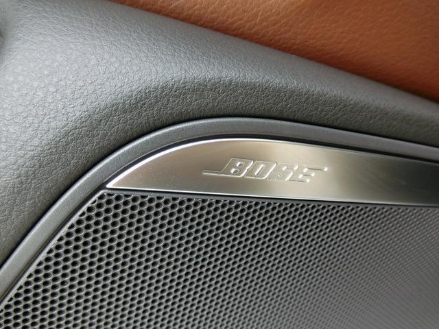 24506324_carP_l_11.jpg