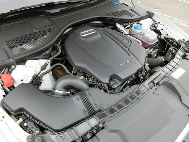 24506324_carP_l_18.jpg