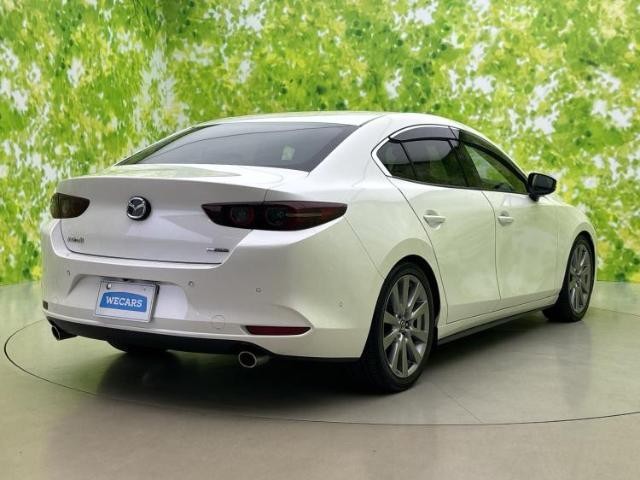 25246876_carP_l_15.jpg