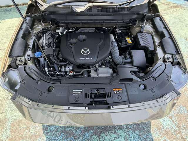 905e24bb95b88b5fe8a58ee3b90c759f.jpg