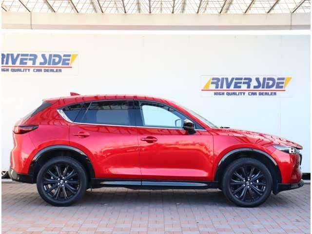 1aa84120e7001d6dacf7f6807c4ae981.jpg