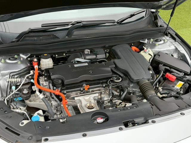 24706667_carP_l_20.jpg