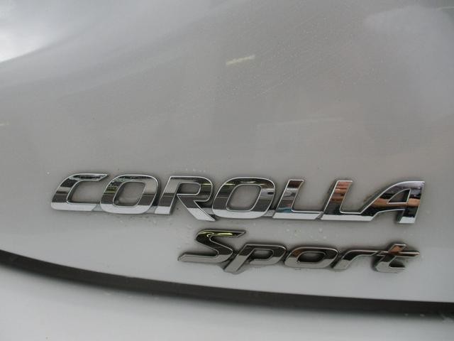 1000138A30260905W00117.jpg