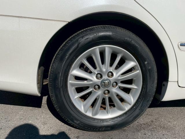 0541369A30260402W00513.jpg