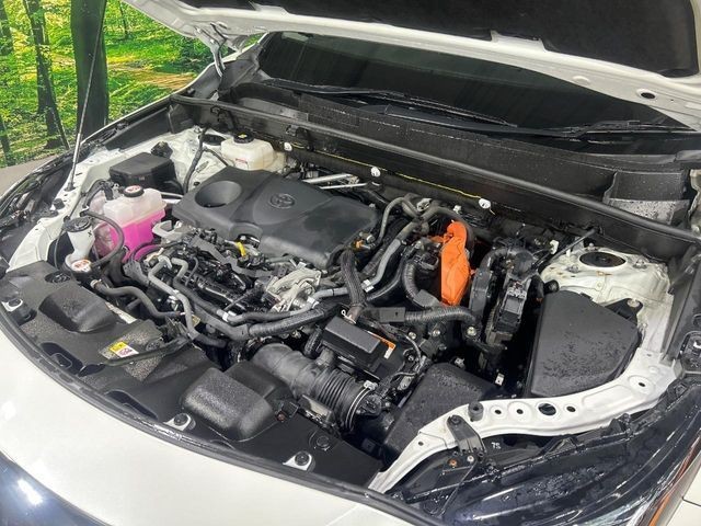 a28645e2403722607de50ae6fd3f8b6a.jpg
