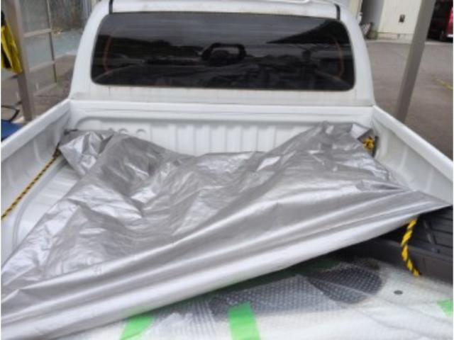 24706716_carP_l_7.jpg