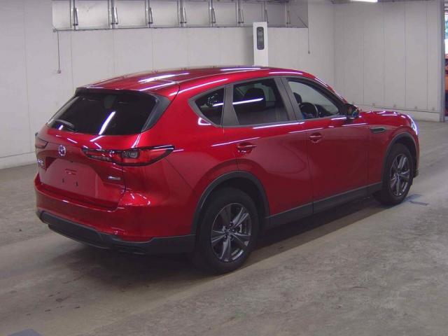 24706733_carP_l_10.jpg