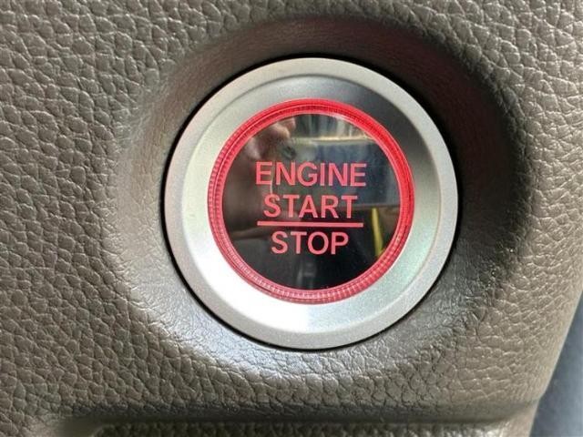 26866954_carP_l_9.jpg