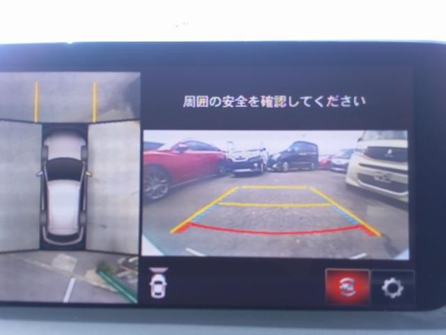 0707828A30260719W00315.jpg