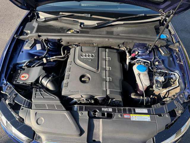 a3eed988f250fabec62ff6d4d4a5c24f.jpg
