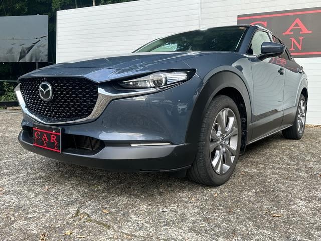 0540815A30260820W00309.jpg