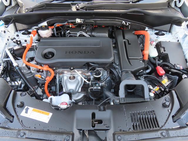 0541039A30260628W00517.jpg