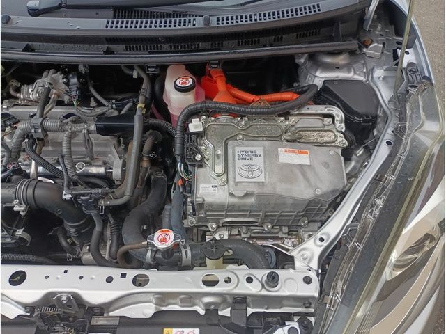 f56c1fc881f29d3e1f504654522dfafc.jpg