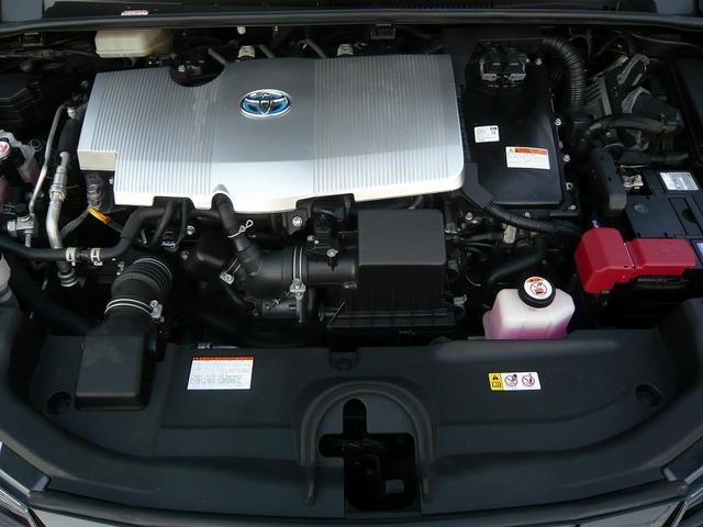 0708087A30260517W00119.jpg