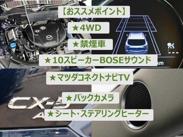 d8cb10d0899774e7c3a1e7a4a8b57d81.jpg
