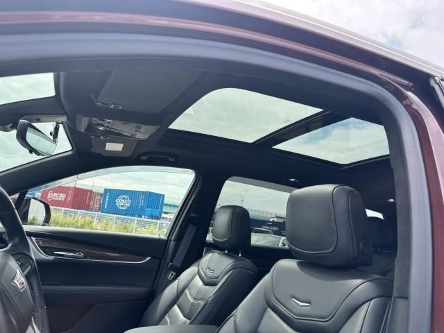 26821754_carP_l_5.jpg