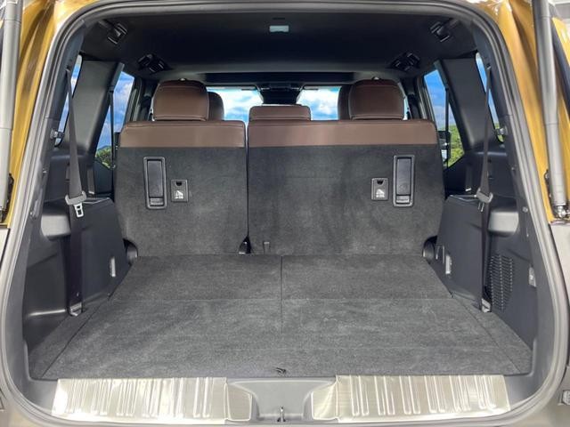 26601424_carP_l_5.jpg