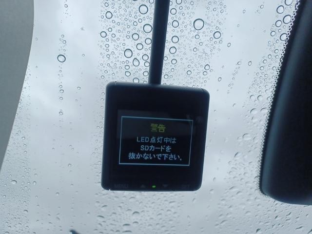 27219454_carP_l_12.jpg