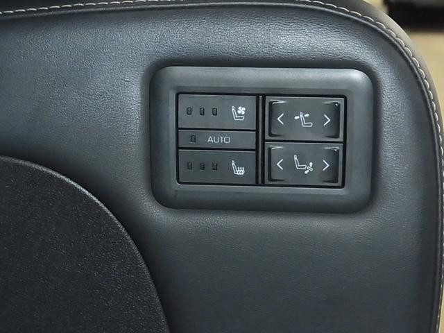 0500075A20261001K04213.jpg