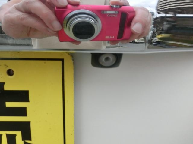 1020064A30260906W00117.jpg
