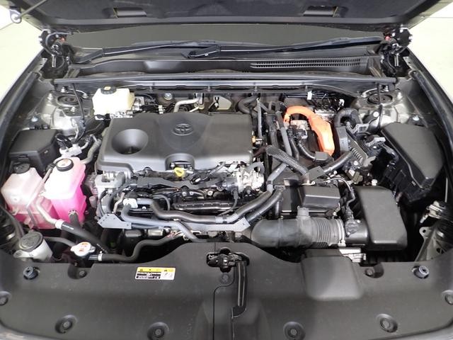 0509002A30260930W00119.jpg