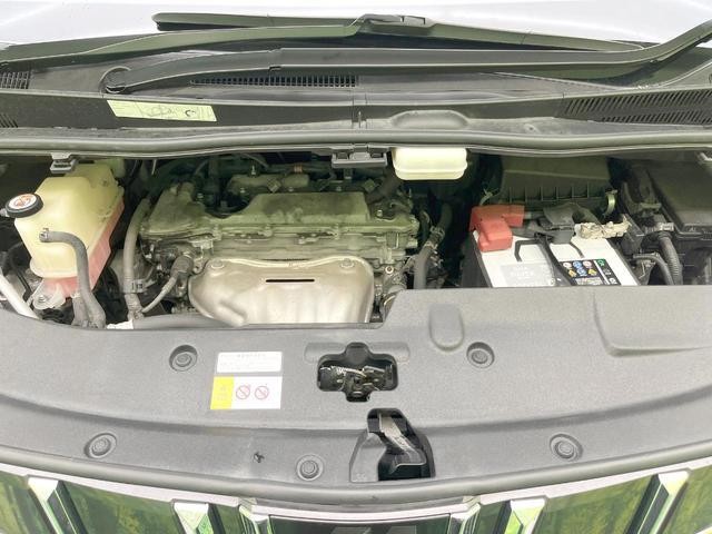 26773624_carP_l_16.jpg