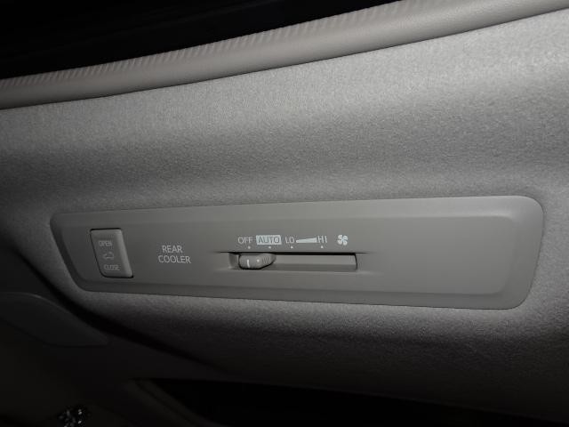0560809A30260921W00111.jpg