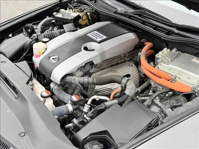 27248619_carP_l_20.jpg