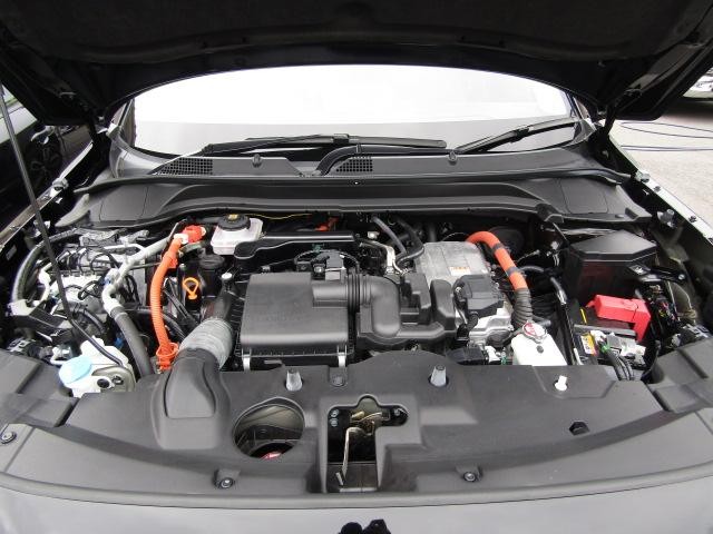 0506241A30260831W00219.jpg