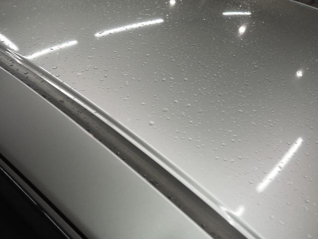 0403084A30260916W00207.jpg