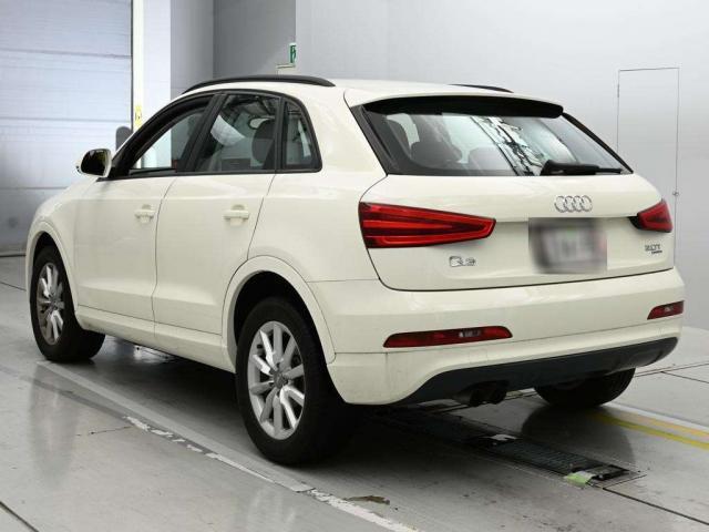 24506566_carP_l_17.jpg