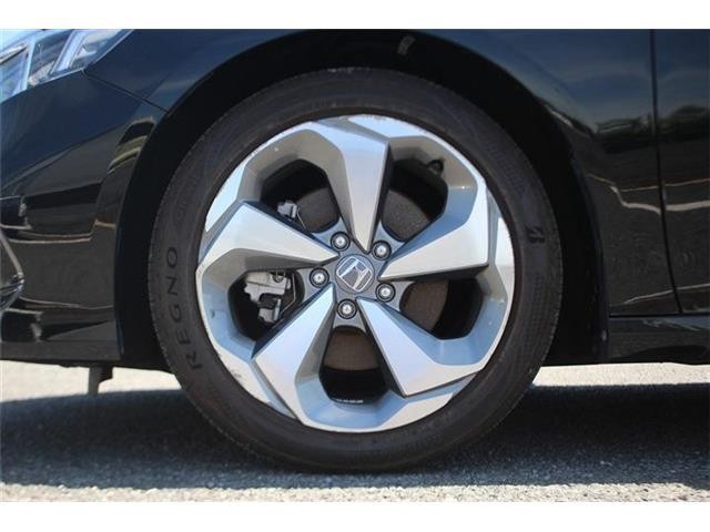 34c20f35daf89166907983d63d3e77b1.jpg