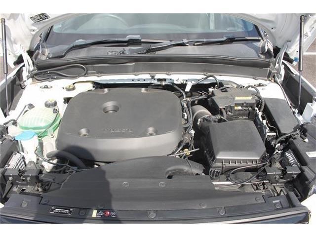 ea48717bae02cb77955cc13be046e027.jpg