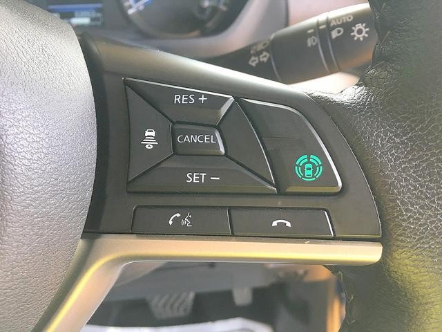 0560069A20260807W02019.jpg