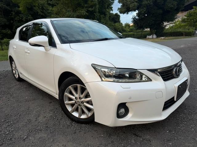 25793441_carP_l_8.jpg