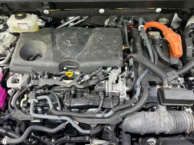 d152d7ea92c5596da5672545899d8e3e.jpg