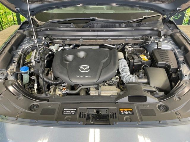 8430ee52e57920efd050c632a1c5323c.jpg