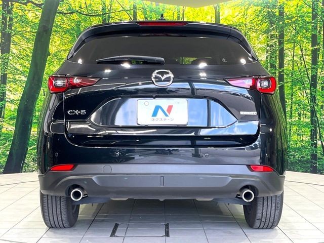 a499ee3d20156c73dd4ed1e35238fd27.jpg
