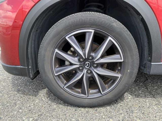 image_9.jpg