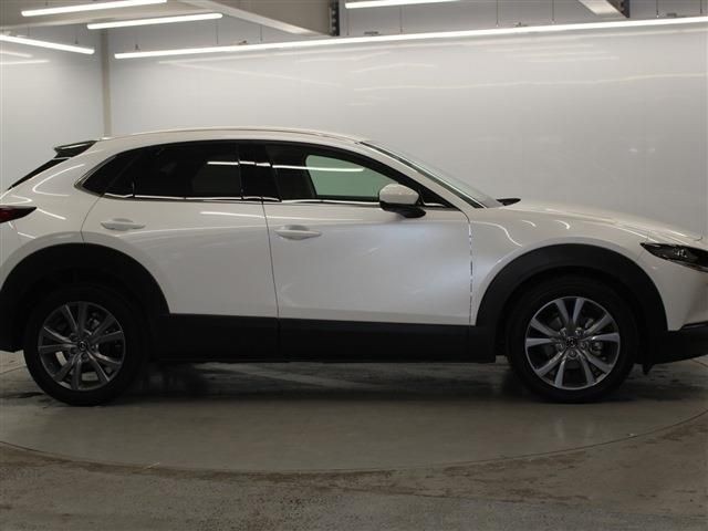 d9969e961205faf4f862c77195328daf.jpg