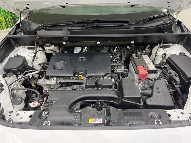 4feabbf397c5cc68293194e2b024b885.jpg