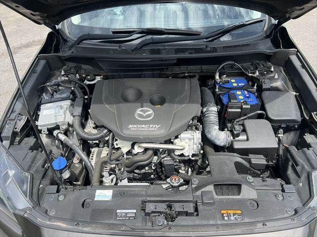 ec99f4dd81c4598a59376036cd186b54.jpg