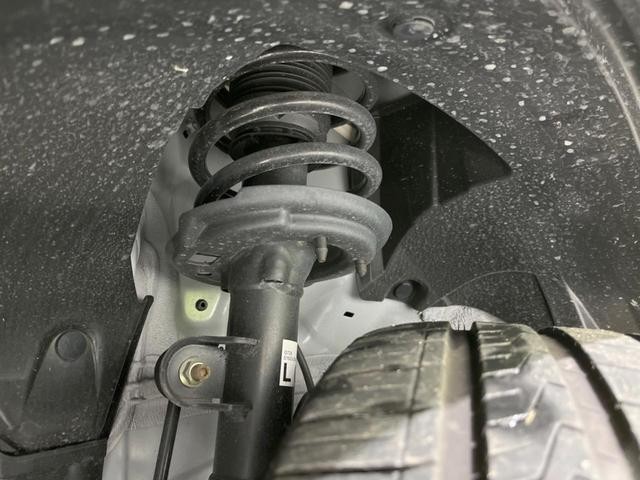 26773474_carP_l_20.jpg
