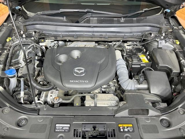 ebd7284468ff1507e4cc56d59a03230f.jpg