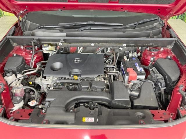 26731237_carP_l_16.jpg