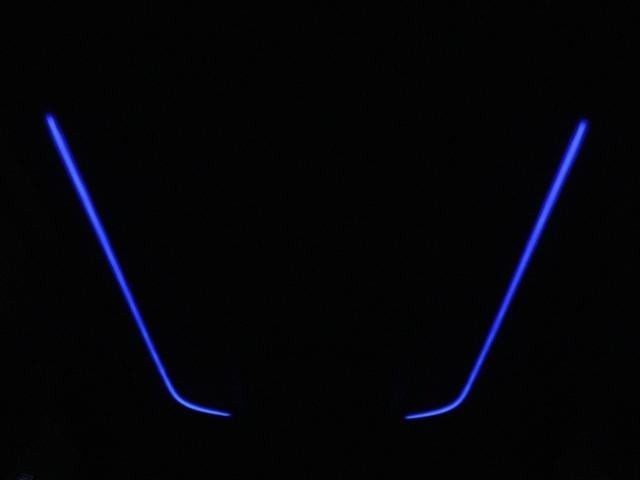 0541413A30260926W00417.jpg