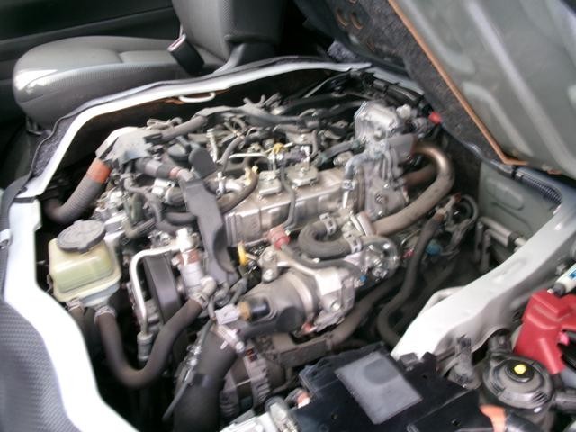 0300895A30260930W00116.jpg