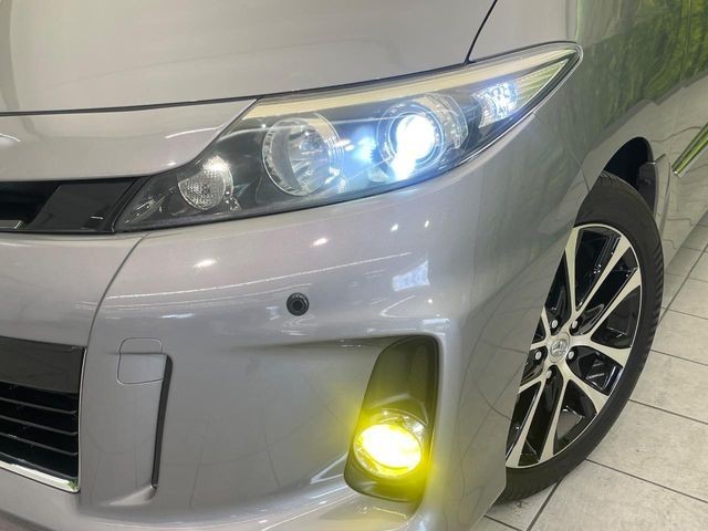 f56e373ea2e4c040af0d7753f8bbaa43.jpg