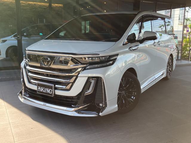 1020099A30260713W00201.jpg